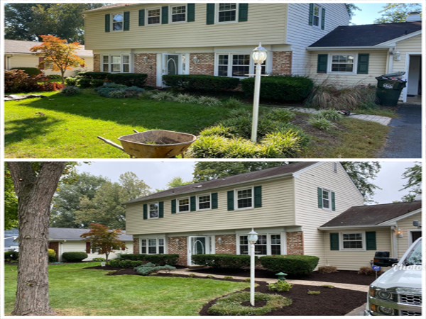 Lawn & landscaping